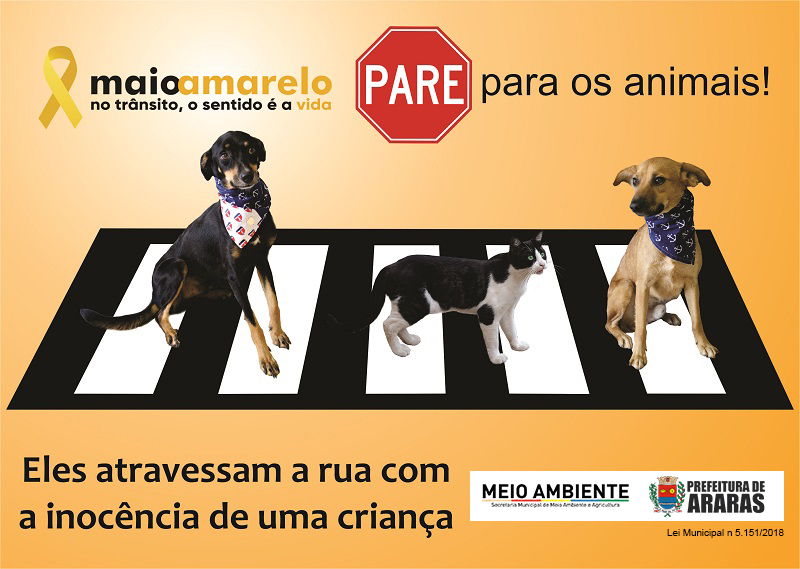 No dia D o animal amarelou!